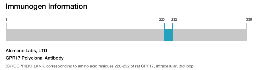 GPR17 Polyclonal Antibody