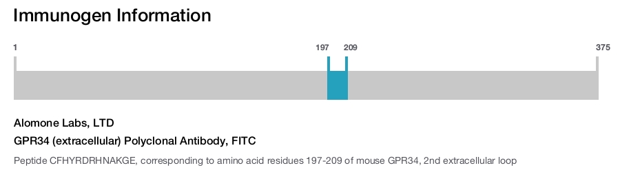 GPR34 (extracellular) Polyclonal Antibody, FITC