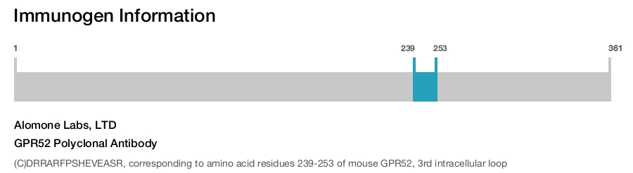 GPR52 Polyclonal Antibody