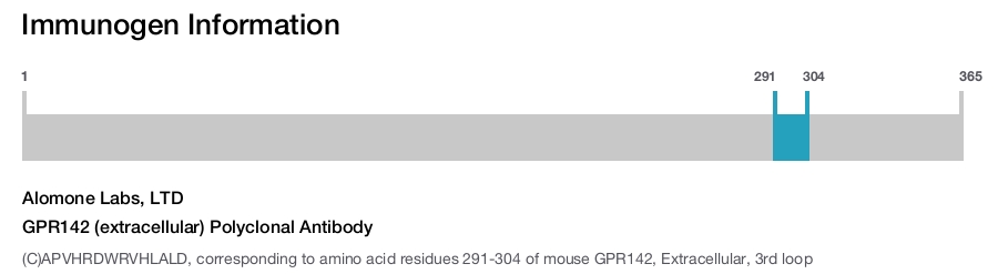 GPR142 (extracellular) Polyclonal Antibody