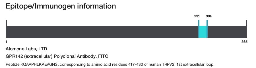 GPR142 (extracellular) Polyclonal Antibody, FITC