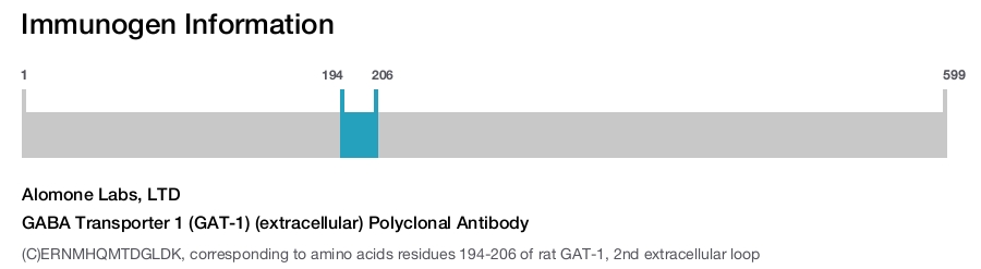 GABA Transporter 1 (GAT-1) (extracellular) Polyclonal Antibody