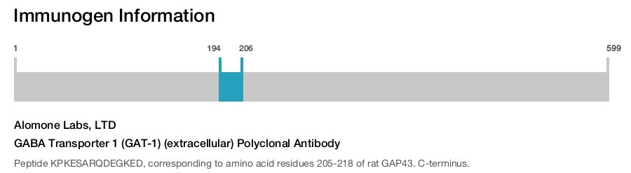 GABA Transporter 1 (GAT-1) (extracellular) Polyclonal Antibody