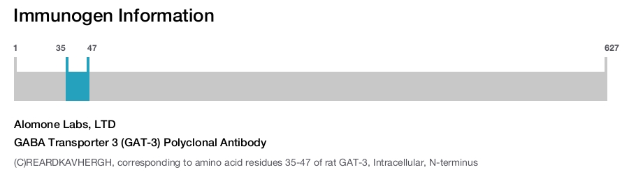 GABA Transporter 3 (GAT-3) Polyclonal Antibody