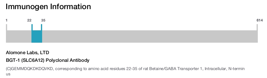 BGT-1 (SLC6A12) Polyclonal Antibody