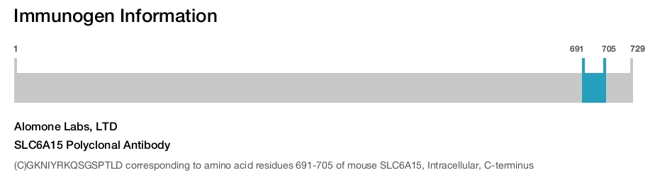 SLC6A15 Polyclonal Antibody
