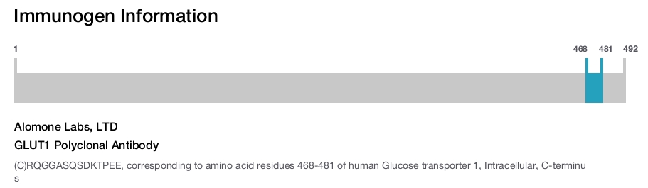 GLUT1 Polyclonal Antibody