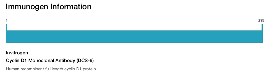 Cyclin D1 Monoclonal Antibody (DCS-6)