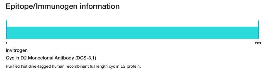 Cyclin D2 Monoclonal Antibody (DCS-3.1)