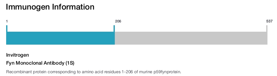 Fyn Monoclonal Antibody (1S)