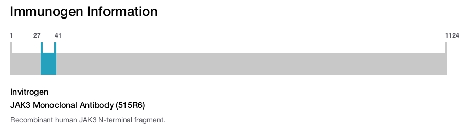 JAK3 Monoclonal Antibody (515R6)