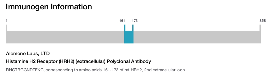 Histamine H2 Receptor (HRH2) (extracellular) Polyclonal Antibody