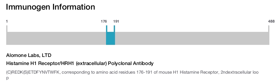 Histamine H1 Receptor/HRH1 (extracellular) Polyclonal Antibody