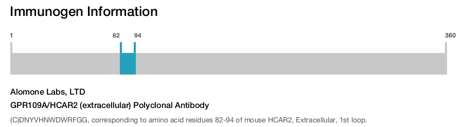 GPR109A/HCAR2 (extracellular) Polyclonal Antibody