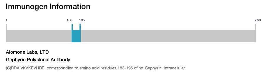 Gephyrin Polyclonal Antibody