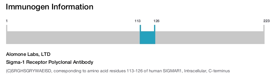 Sigma-1 Receptor Polyclonal Antibody