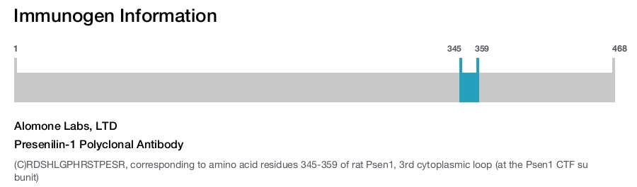 Presenilin-1 Polyclonal Antibody