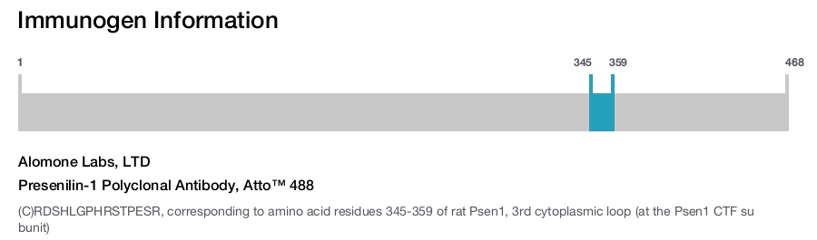 Presenilin-1 Polyclonal Antibody, Atto™ 488