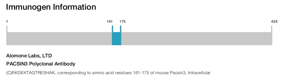PACSIN3 Polyclonal Antibody