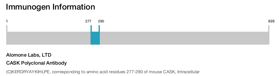 CASK Polyclonal Antibody