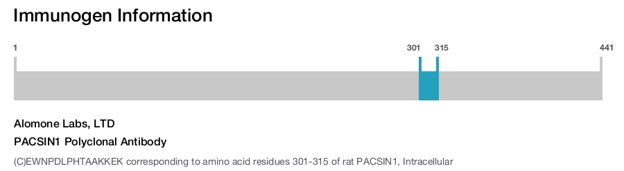 PACSIN1 Polyclonal Antibody