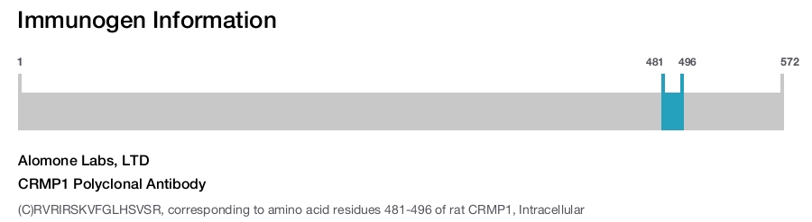 CRMP1 Polyclonal Antibody