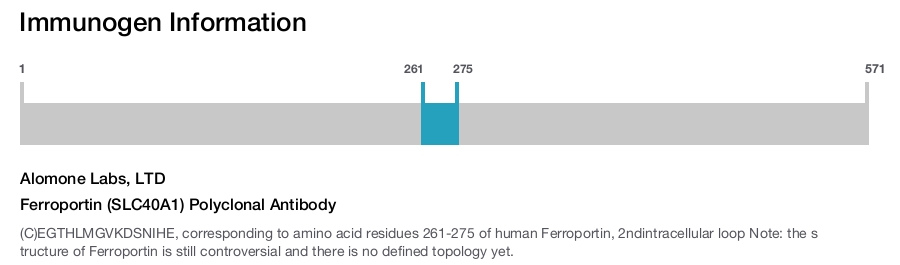 Ferroportin (SLC40A1) Polyclonal Antibody