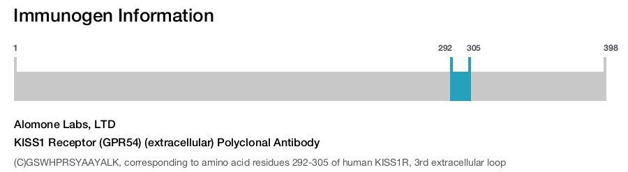 KISS1 Receptor (GPR54) (extracellular) Polyclonal Antibody