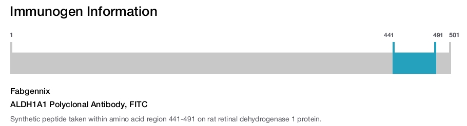 ALDH1A1 Polyclonal Antibody, FITC
