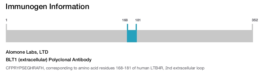 BLT1 (extracellular) Polyclonal Antibody