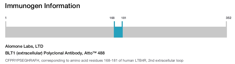 BLT1 (extracellular) Polyclonal Antibody, Atto&trade; 488