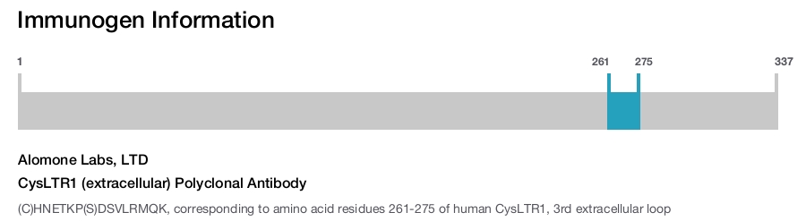 CysLTR1 (extracellular) Polyclonal Antibody