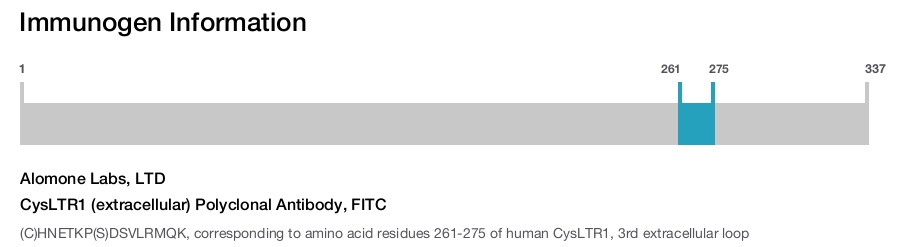 CysLTR1 (extracellular) Polyclonal Antibody, FITC