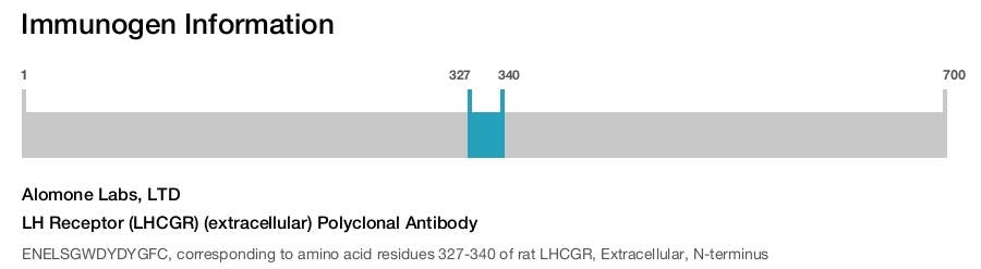 LH Receptor (LHCGR) (extracellular) Polyclonal Antibody