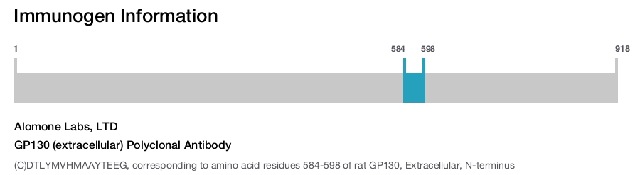 GP130 (extracellular) Polyclonal Antibody