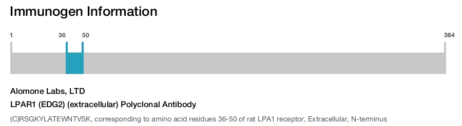 LPAR1 (EDG2) (extracellular) Polyclonal Antibody