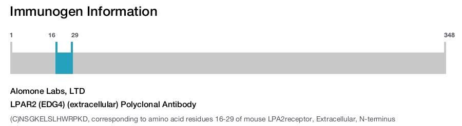 LPAR2 (EDG4) (extracellular) Polyclonal Antibody