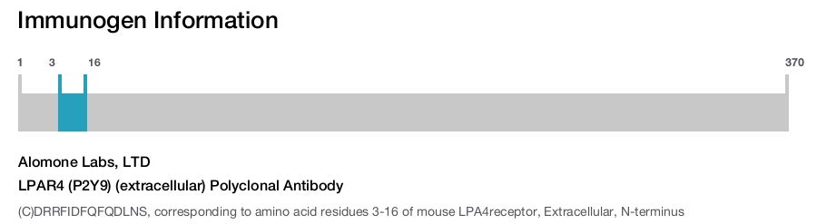 LPAR4 (P2Y9) (extracellular) Polyclonal Antibody