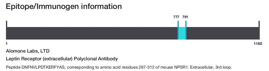 Leptin Receptor (extracellular) Polyclonal Antibody