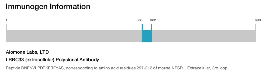 LRRC33 (extracellular) Polyclonal Antibody