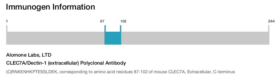 CLEC7A/Dectin-1 (extracellular) Polyclonal Antibody