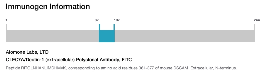 CLEC7A/Dectin-1 (extracellular) Polyclonal Antibody, FITC