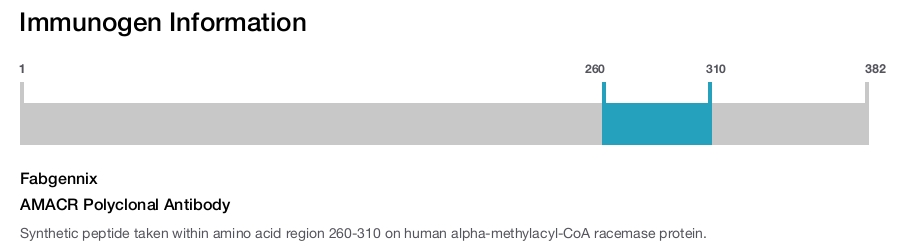 AMACR Polyclonal Antibody
