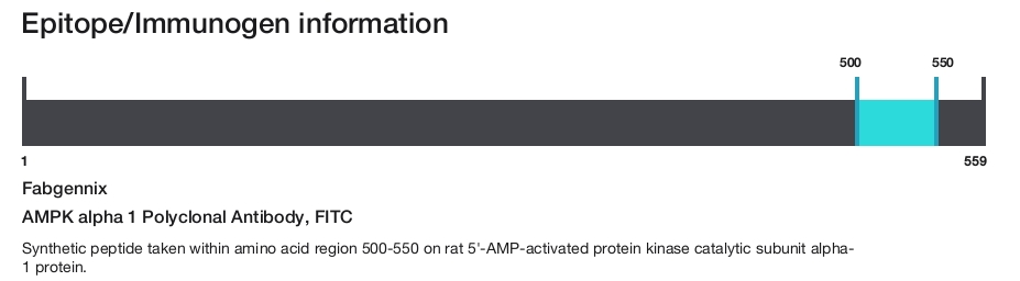 AMPK alpha 1 Polyclonal Antibody, FITC