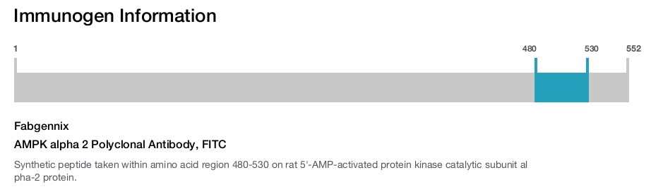 AMPK alpha 2 Polyclonal Antibody, FITC