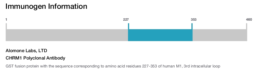 CHRM1 Polyclonal Antibody