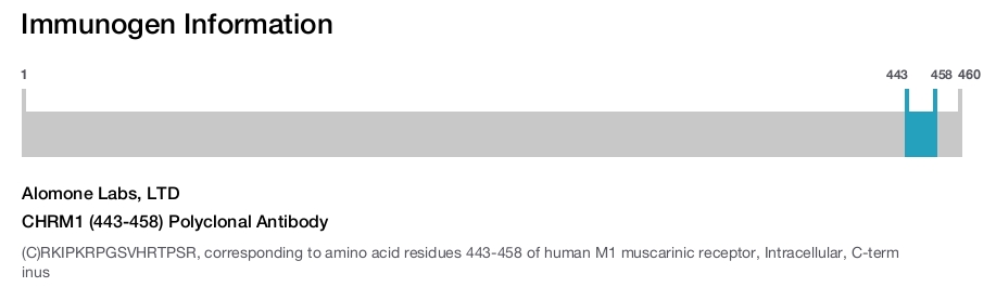 CHRM1 (443-458) Polyclonal Antibody