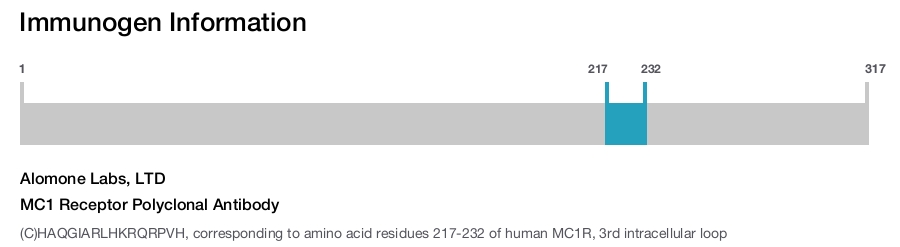 MC1 Receptor Polyclonal Antibody