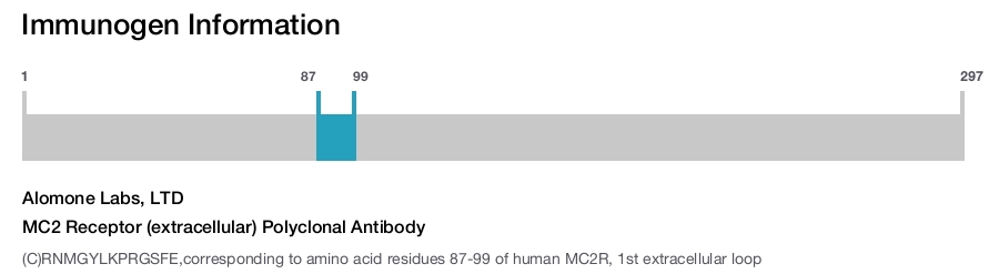 MC2 Receptor (extracellular) Polyclonal Antibody