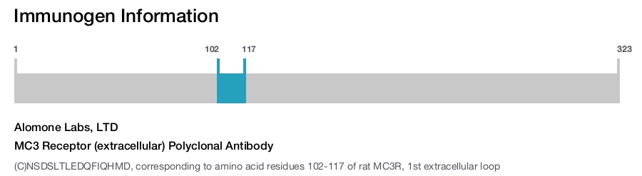 MC3 Receptor (extracellular) Polyclonal Antibody